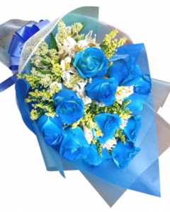 12 Blues Roses