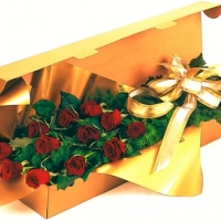 12 Roses In A Box
