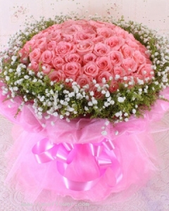 101 Pink ROSES